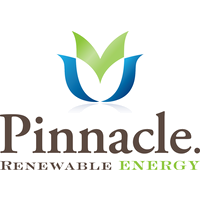 Pine